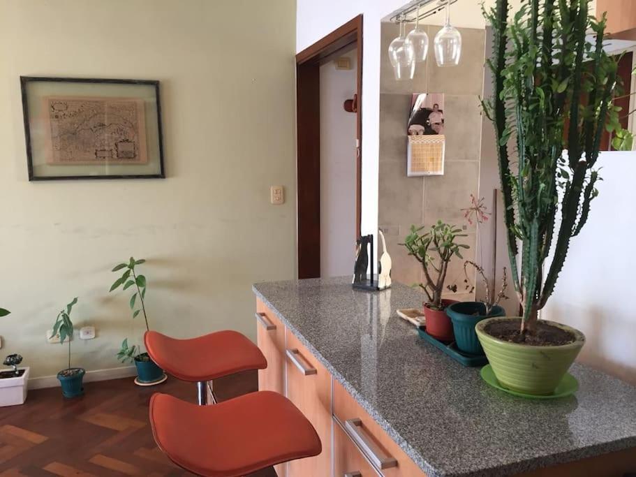 Apartamento La Luz De San Telmo